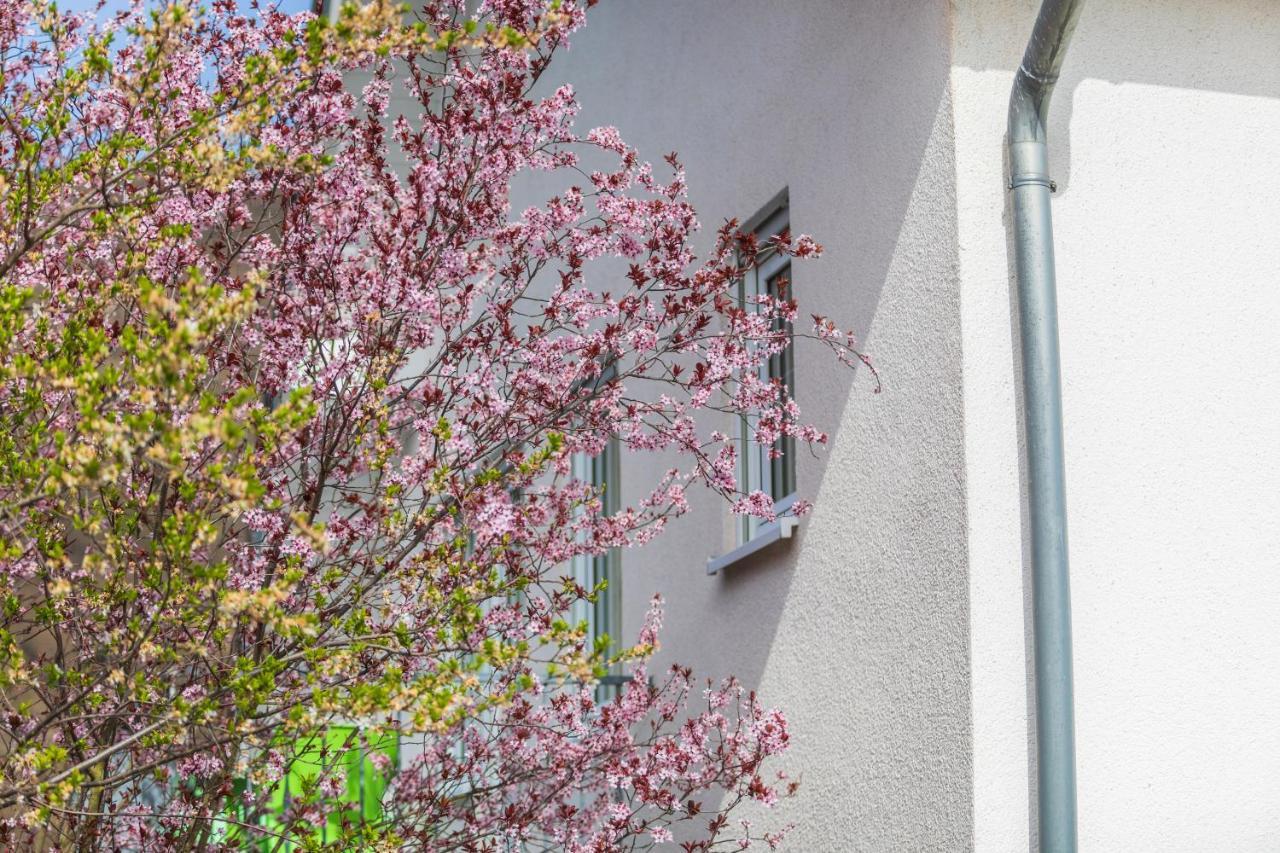 Haus Flora - Ferienwohnungen Cochem Exterior foto